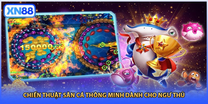 Chiến thuật săn cá thông minh dành cho ngư thủ